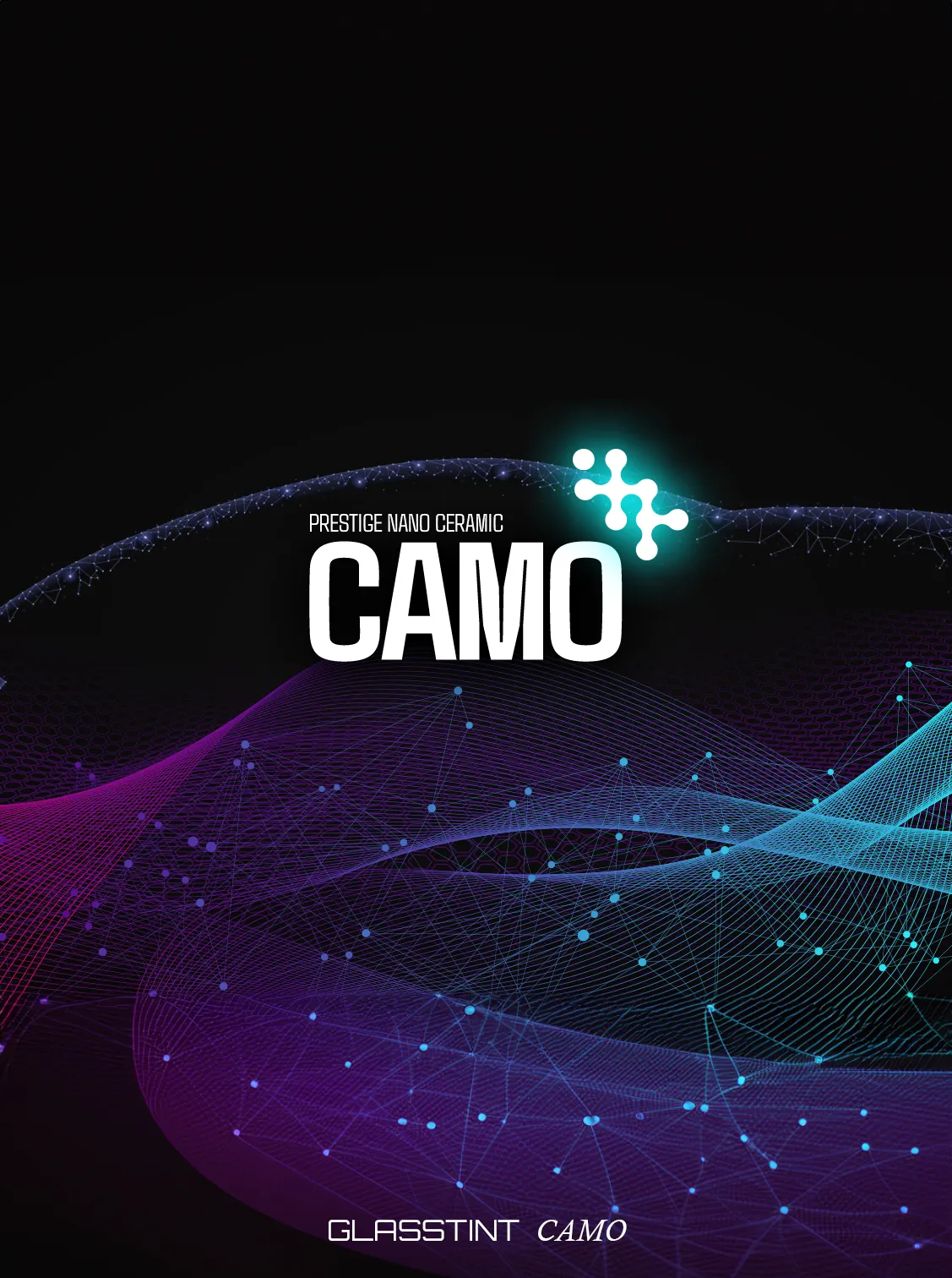 CAMO window film artwork